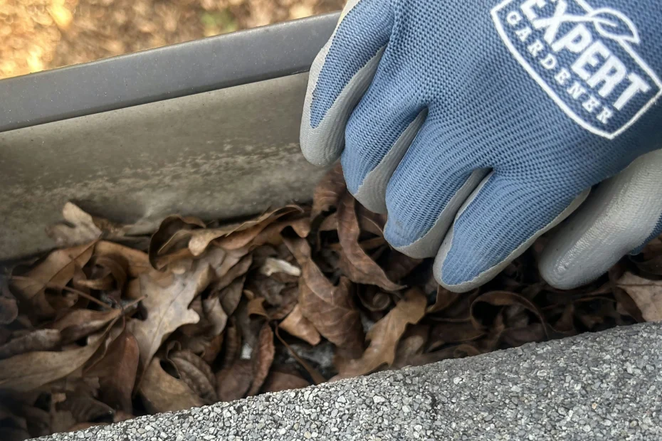 Gutter Cleaning Georgetown SC