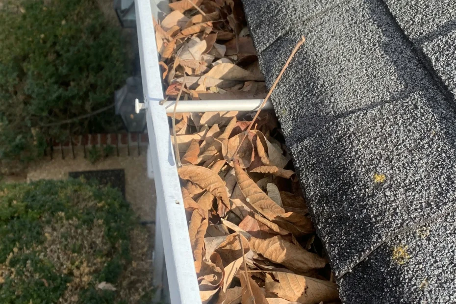 Gutter Cleaning Georgetown SC