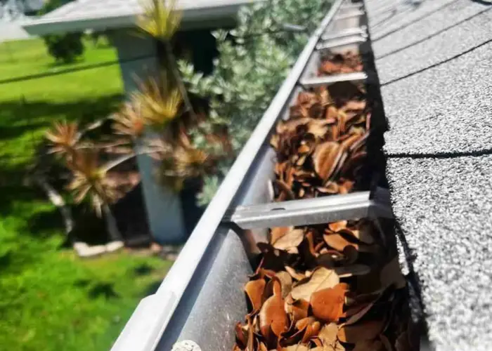 Gutter Cleaning Georgetown SC home page